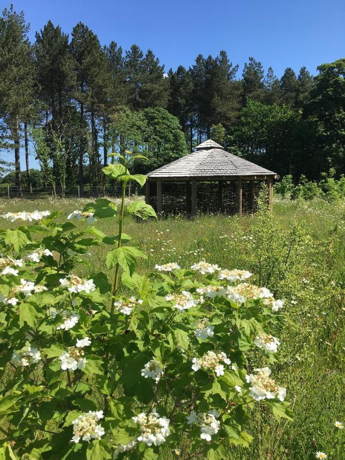 Hollicarrs - Wildflower Lodge York Kültér fotó