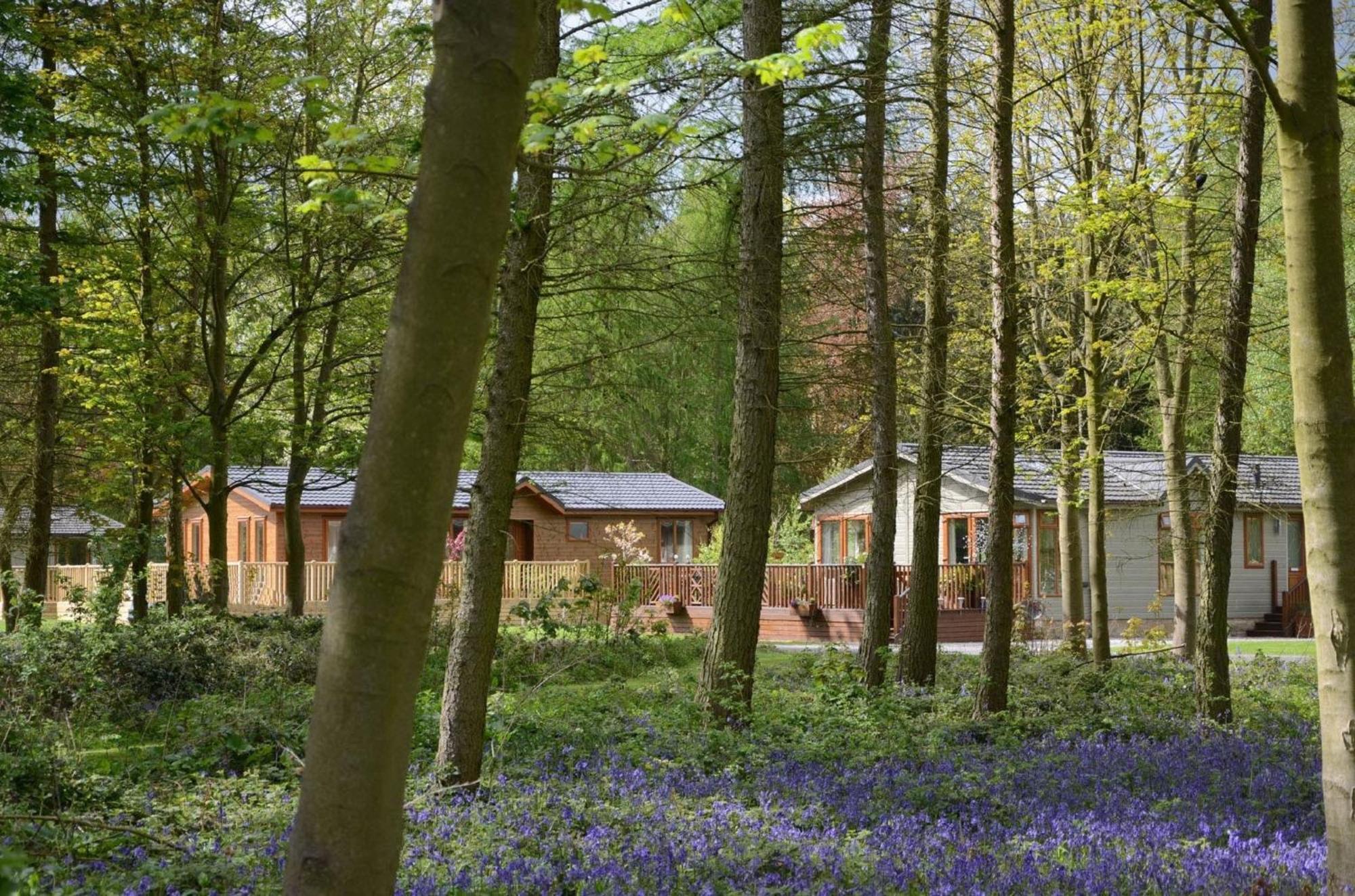Hollicarrs - Wildflower Lodge York Kültér fotó